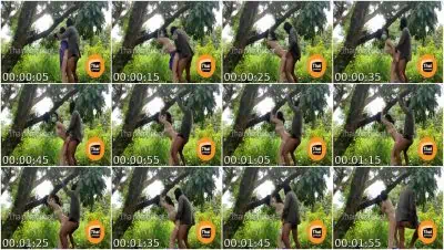 Kantotan Ala Tarzan sa Puno ng Manga Part 1