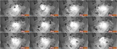 CCTV Diaries