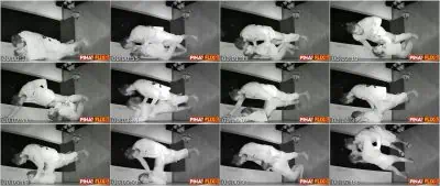 Dinalaw ng Kapitbahay Habang Tulog si Mister