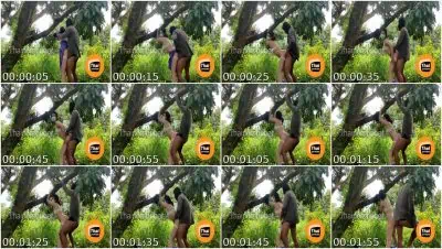 Kantutan sa Manggahan, Naglambitin Parang si Tarzan