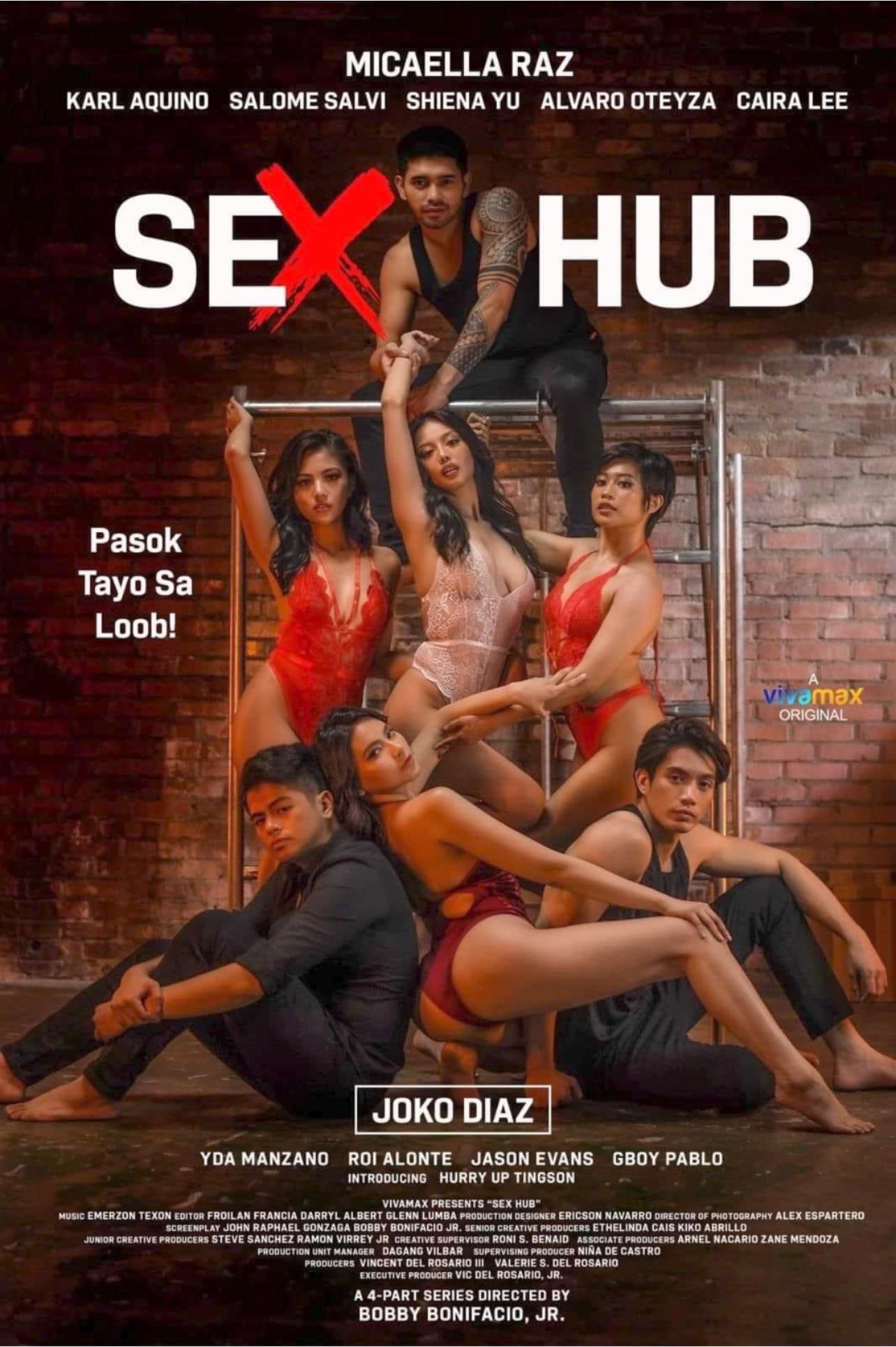 Sex Hub poster 1