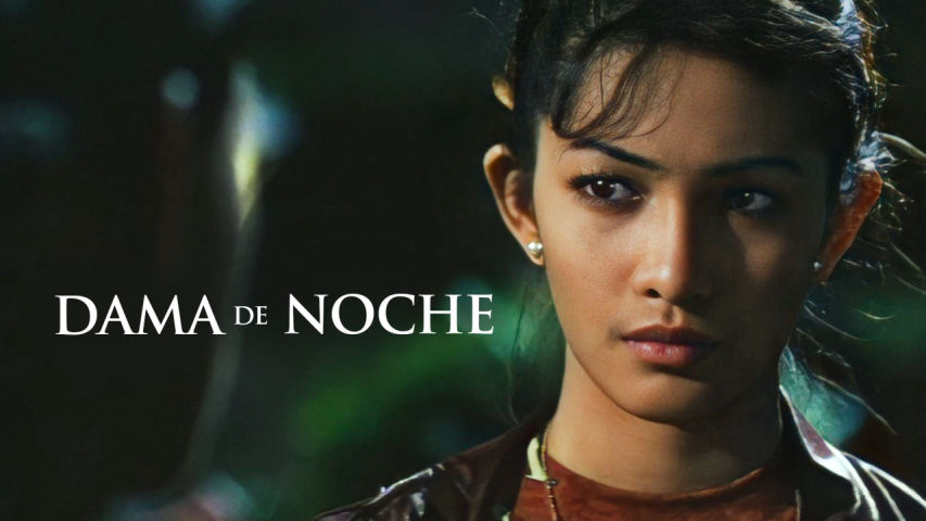 Dama De Noche cover