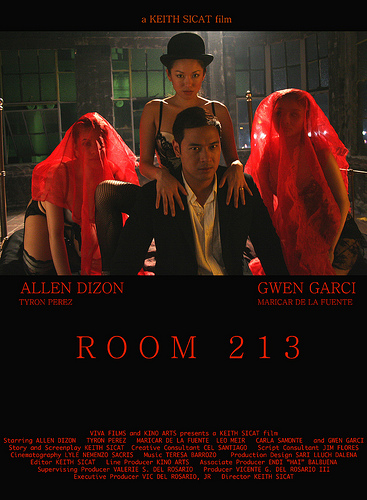 room 213 poster